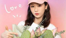 吃瓜少女张小寒爆料杨紫,娱乐圈背后的那些事儿